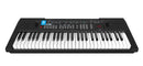 Portable 54 Full Size Key Electronic Keyboard Free Mic and Headphones