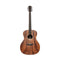 JN Guitars Dovern Series James Neligan Auditorium Acoustic Guitar - DOV-A