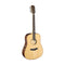 JN Guitars Elijah Series James Neligan Dreadnought Acoustic Guitar - ELI-D