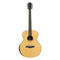 JN Guitars Orchestra Acoustic Guitar w/ Gig Bag - Natural - GLEN-O N