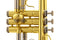 Eldon By Antigua TR-2110 Bb Trumpet with Lacquer Finish