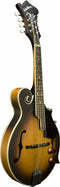 Washburn M3EK F-Style Mandolin Kit with Pickup & Gig Bag - Sunburst