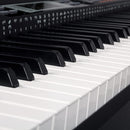 Medeli 88 Key Stage Digital Piano with Weighted Hammer Action Keys - SP4200