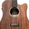 JN Guitars Dovern Series Cutaway Acoustic Electric Dreadnought Guitar - DOV-D