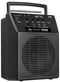 Nady Wireless Portable compact PA Full-Range Speaker System - WA-120BT HT