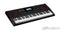 Casio CT-X3000 61-Key Portable Digital Keyboard with Free Stand