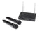 Samson Stage 200 Dual-Channel Handheld VHF Wireless System - Group C / Channel C