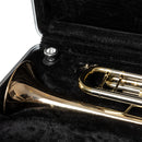 Stagg Trumpet ABS Case - ABS-TP