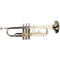 Lauren Student Bb Trumpet with Case - LTR100