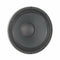 Eminence Neodymium Series DELTALITE II 2512 12" Pro Audio Speaker 250W 8 Ohms