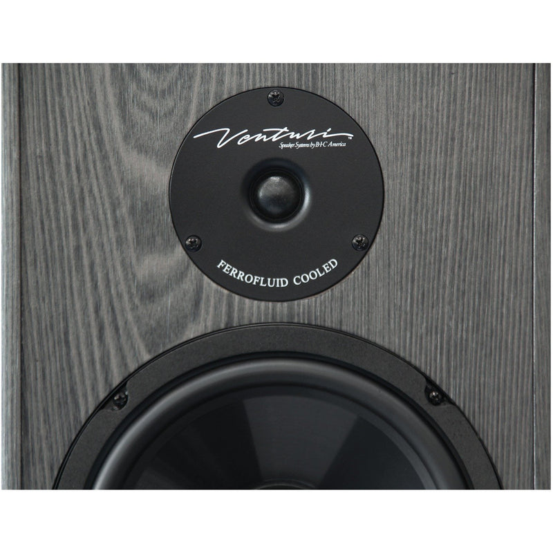 BIC America 200-Watt 2-Way 6.5-Inch Slim-Design Tower Speaker - DV64