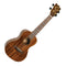 Flight Glossy Acacia Concert Ukulele Supernatural Series – DUC445