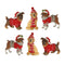 Winter Dog Figurine with Hat and Sweater Accent (Set of 6)