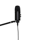 Stagg Double Condenser USB Microphone - Black - SUSM60D