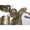 ddrum Dios 5 Piece Shell Pack - 10/12/14/16/22 - Satin Gold - DS MP 522 SG