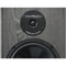 BIC America 250-Watt 2-Way 8-Inch Slim-Design Tower Speaker - DV 84