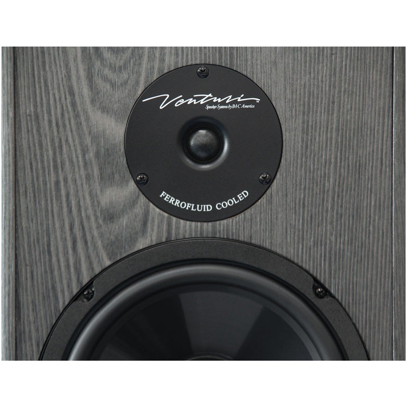 BIC America 250-Watt 2-Way 8-Inch Slim-Design Tower Speaker - DV 84