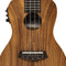 Islander Electric Acoustic Concert Ukulele w/ Flamed Acacia Top - AC-4 FLAMED EQ