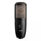 AKG Perception Series True Condenser Multi-Pattern Microphone - P420
