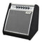 KAT Percussion 200W E-Drum Amplifier - KA2