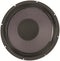 Eminence Patriot Ragin Cajun 10" 75 Watts at 8 Ohms Guitar Speaker - RAGINCAJUN