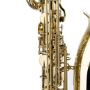 Stagg Eb Baritone Saxophone with Flight Case - LV-BS4105