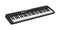 Casio Casiotone 61-Key Digital Keyboard - CT-S300