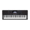 Casio CT-X700 61-Note Portable Digital Keyboard with Free Stand