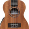 Stagg Acoustic Electric Concert Ukulele with Gig Bag - UC-30 E