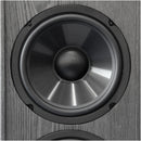 BIC America 200-Watt 2-Way 6.5-Inch Slim-Design Tower Speaker - DV64