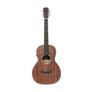 JN Guitars Dovern Series James Neligan Acoustic Electric Parlor Guitar - DOV-PFI