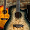 Washburn Deep Forest Burl Grand Auditorium Acoustic Electric Guitar - Black Fade