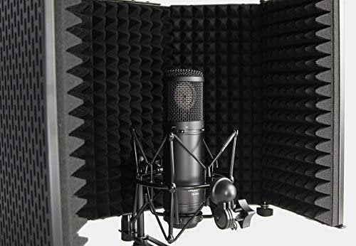 Tascam Acoustic Control Microphone Filter - TM-AR1