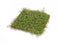 Lifelike Moss Display Mat (Set of 12)