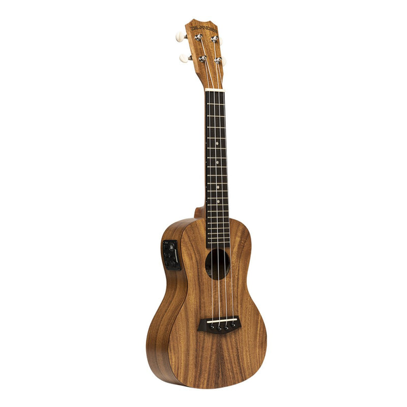 Islander Electric Acoustic Concert Ukulele w/ Flamed Acacia Top - AC-4 FLAMED EQ