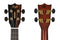 Flight Amara Electro-Acoustic Concert Ukulele Supernatural Series – DUC460 CEQ