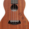 Islander Concert Ukulele w/ Mahogany & Honu Turtle Engraving - MC-4-HNS