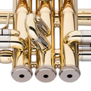 Stagg Bb Trumpet - ML-Bore Leadpipe in Gold Brass w/ Soft Case