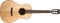 Washburn Royal Sapphire Acoustic Guitar - Natural/Blue - WP33SRS