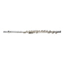 Antigua Vosi FL2110SL Closed Hole Flute - Silver Plated