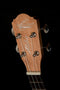 Oscar Schmidt Tenor Ukulele - Satin Natural - OU320T