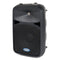 Samson Auro D210 10" 200 Watt  2-Way Active PA Loudspeaker Monitor