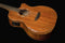 Washburn Comfort Series Acoustic Electric Guitar - KOA - WCG55CE