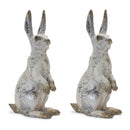 Weathered Rabbit Statue (Set of 2)