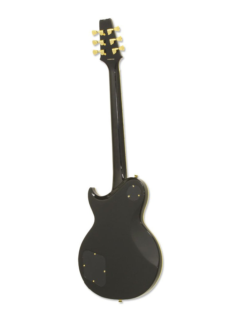 Aria Pro II Electric Guitar - Aged Black - PE350CST-AGBK