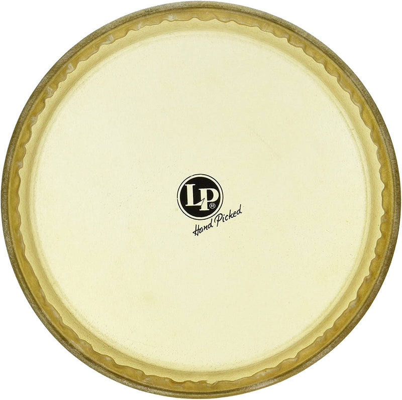 Latin Percussion 11” Evans Synthetic Head Quinto X Series - LP265AE