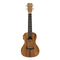 Islander Electric Acoustic Concert Ukulele w/ Flamed Acacia Top - AC-4 FLAMED EQ